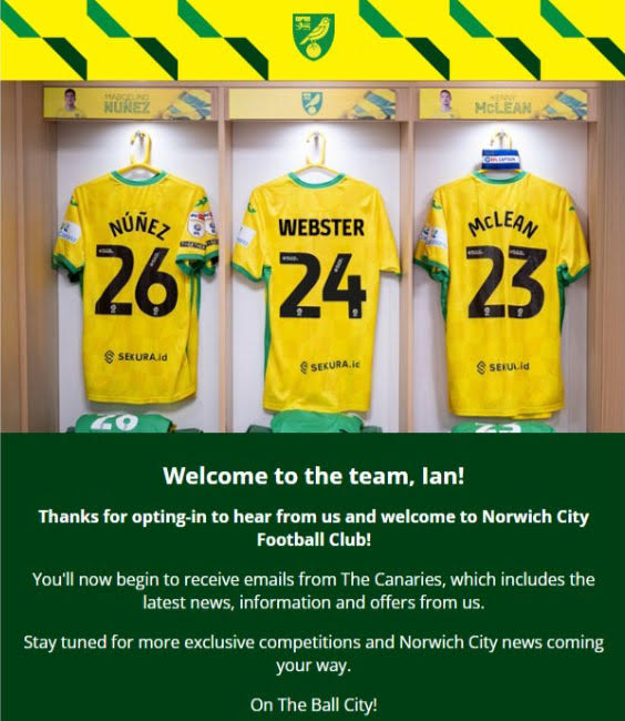 Preview with different subscriber data