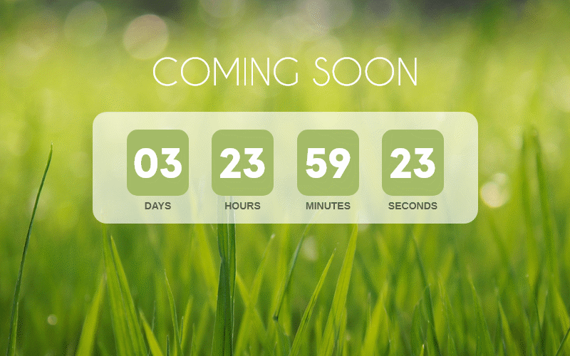 Animated countdown timer